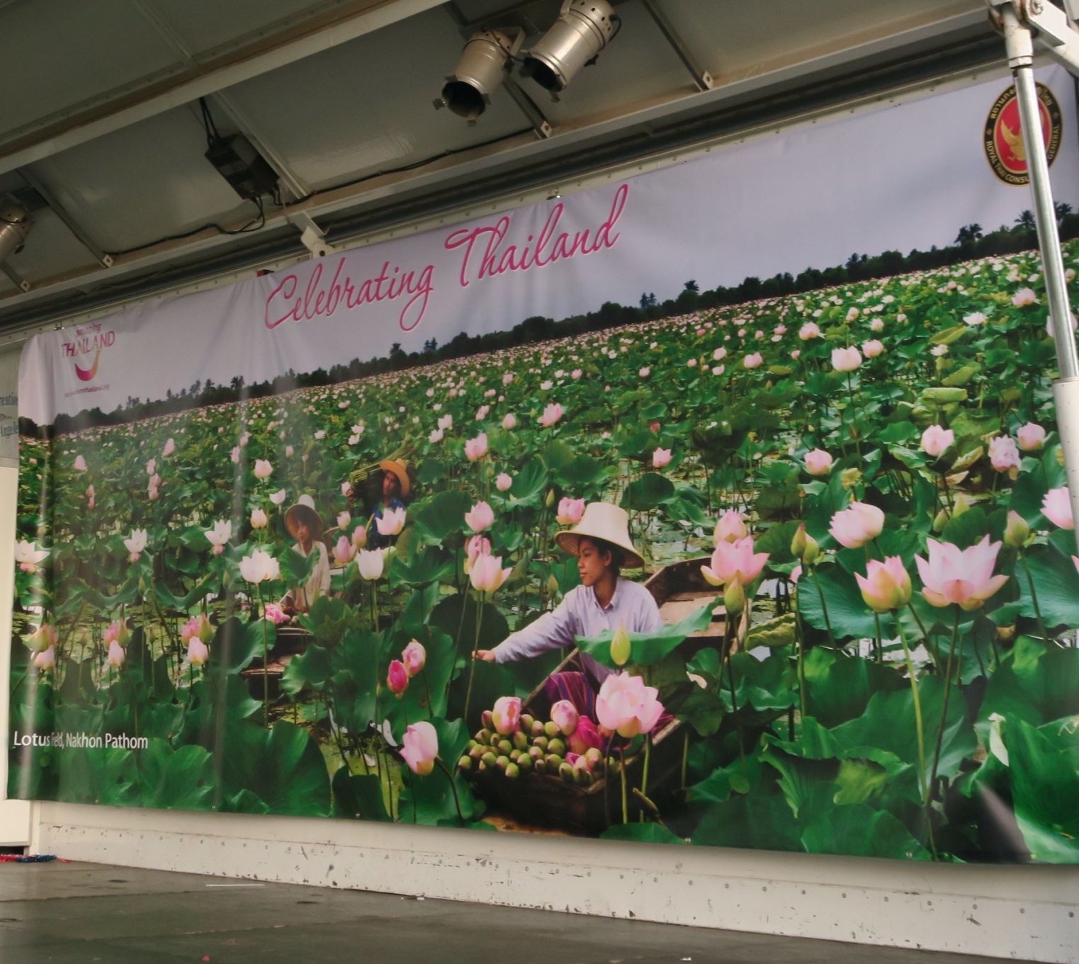 Thailand background at 2019 Lotus Festival